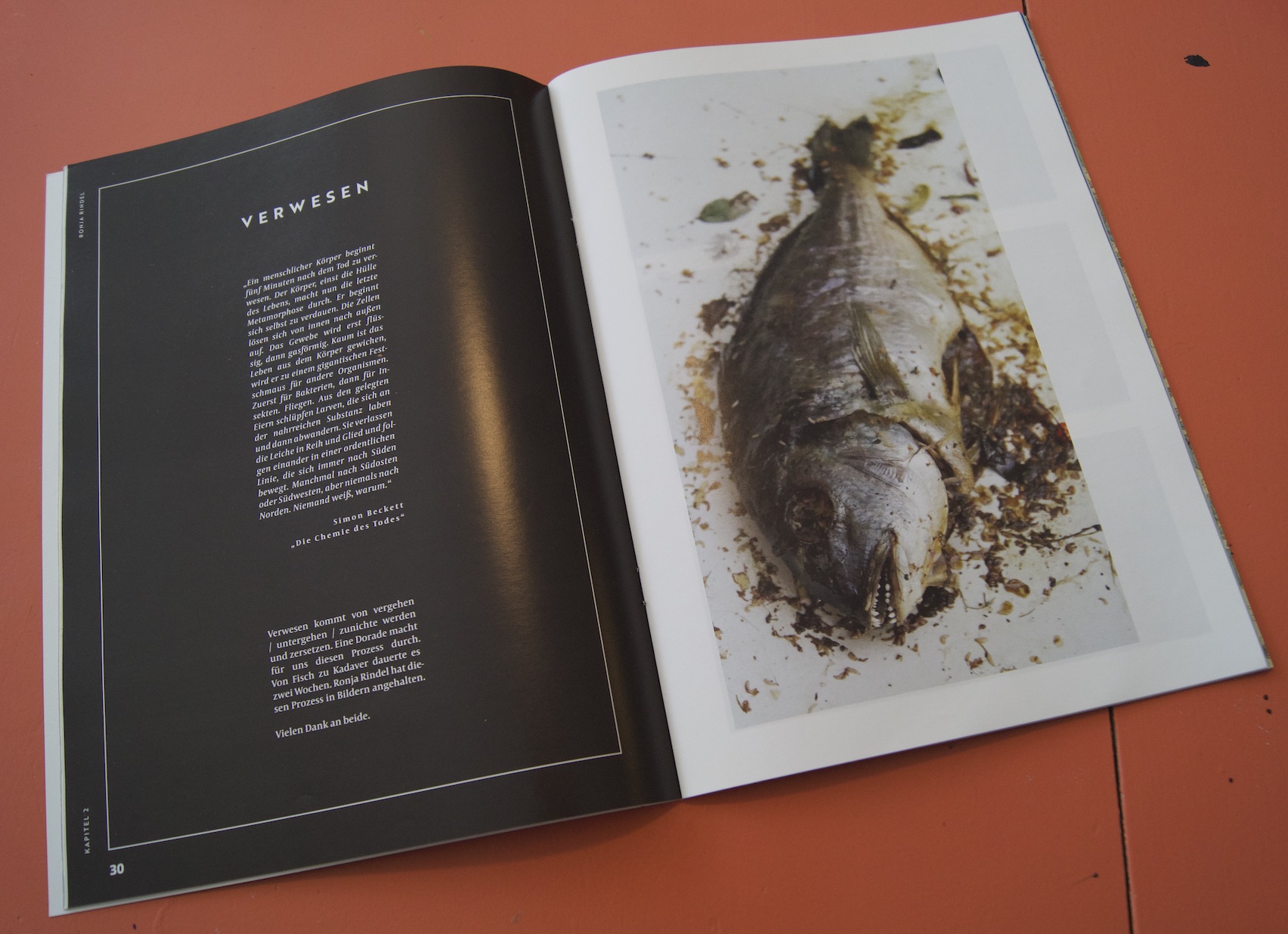 Beitrag zur Kliteratur Nr. 4 "Von Zeit zu Zeiten"